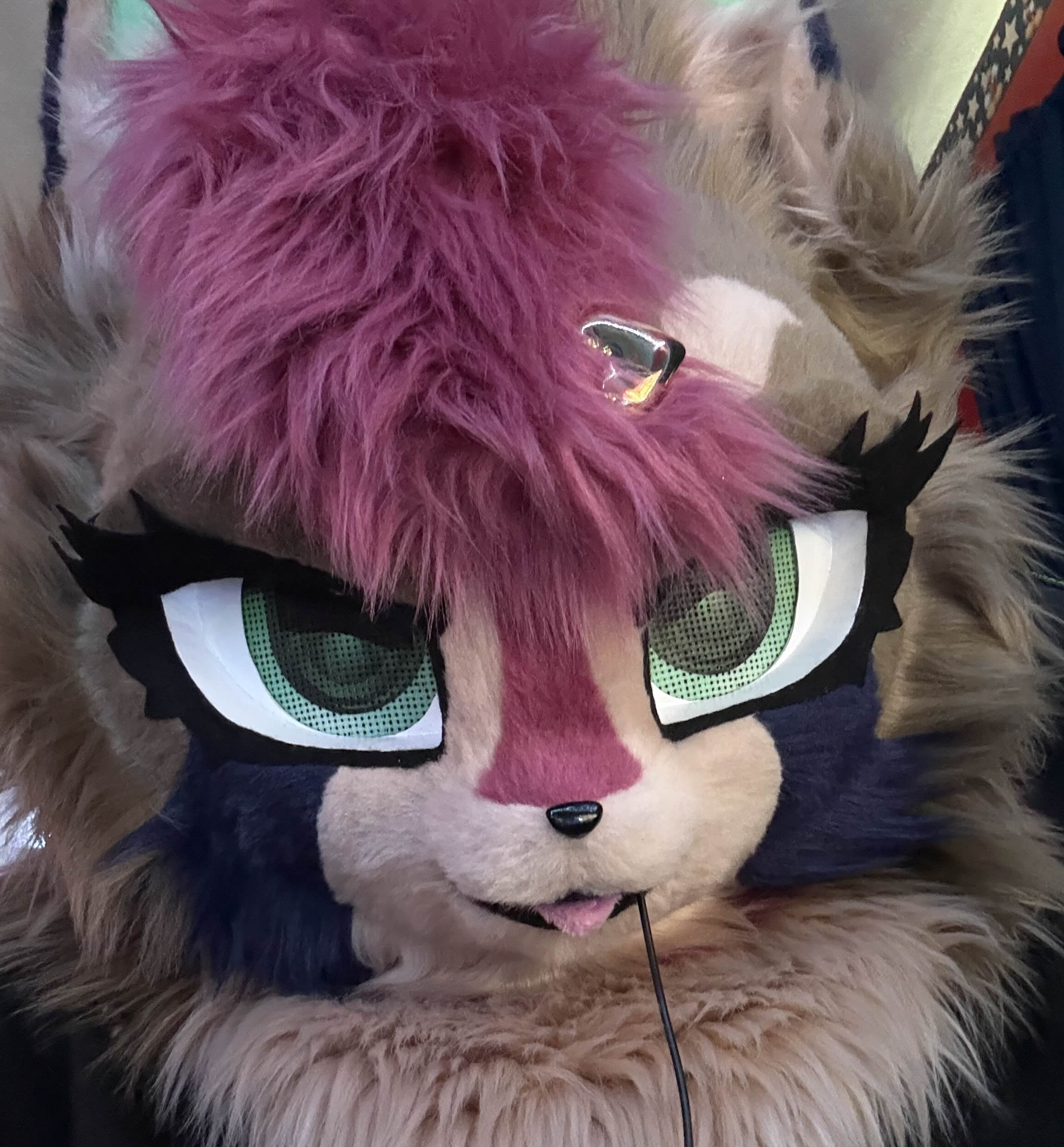 Fursuit Photo 3