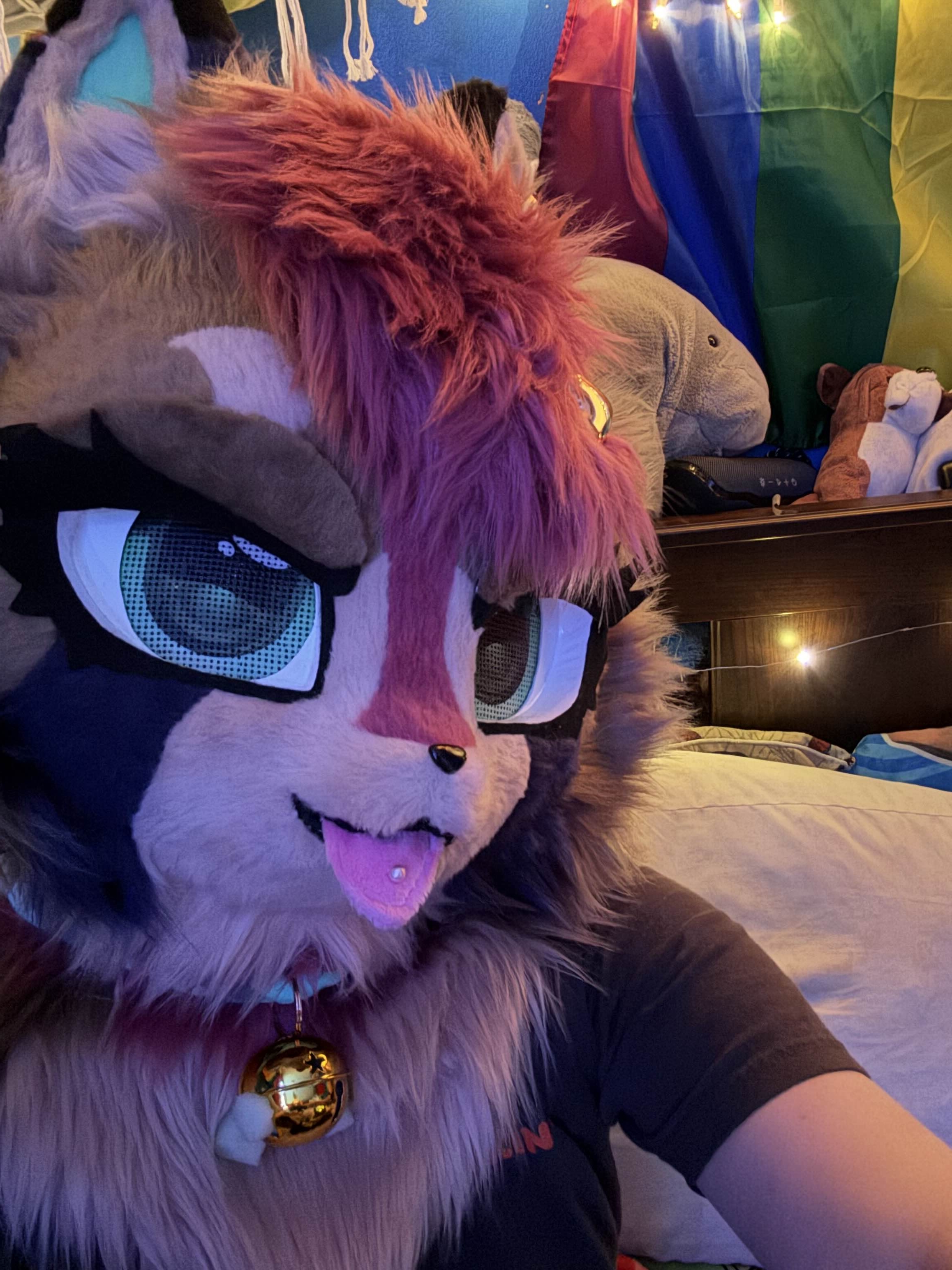 Fursuit Photo 4