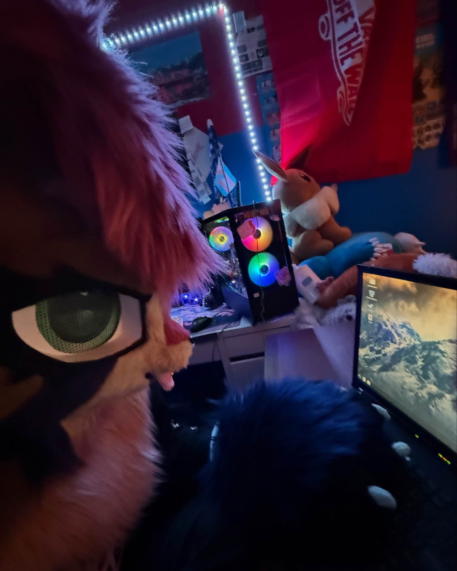 Fursuit Photo 5