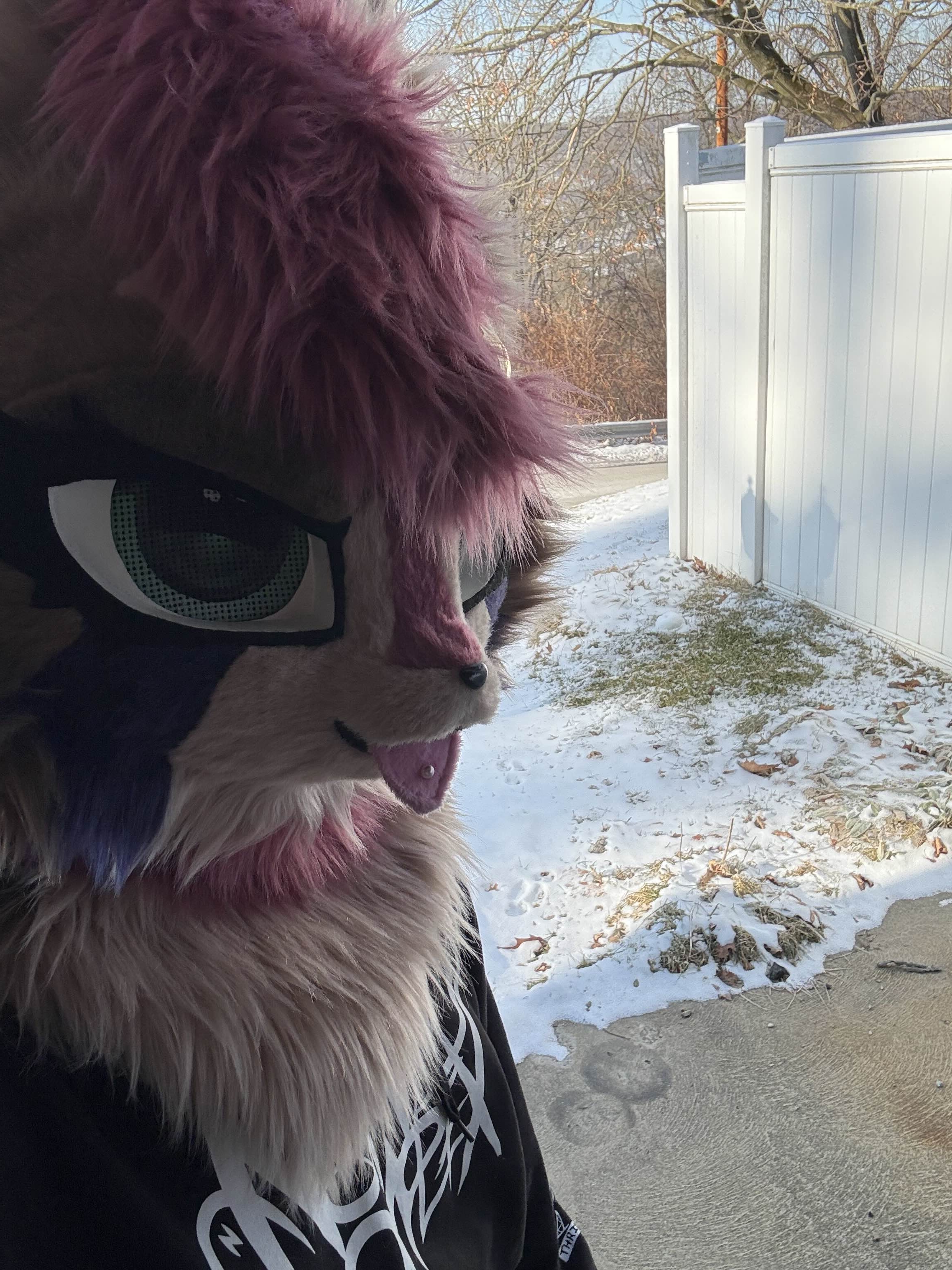 Fursuit Photo 6