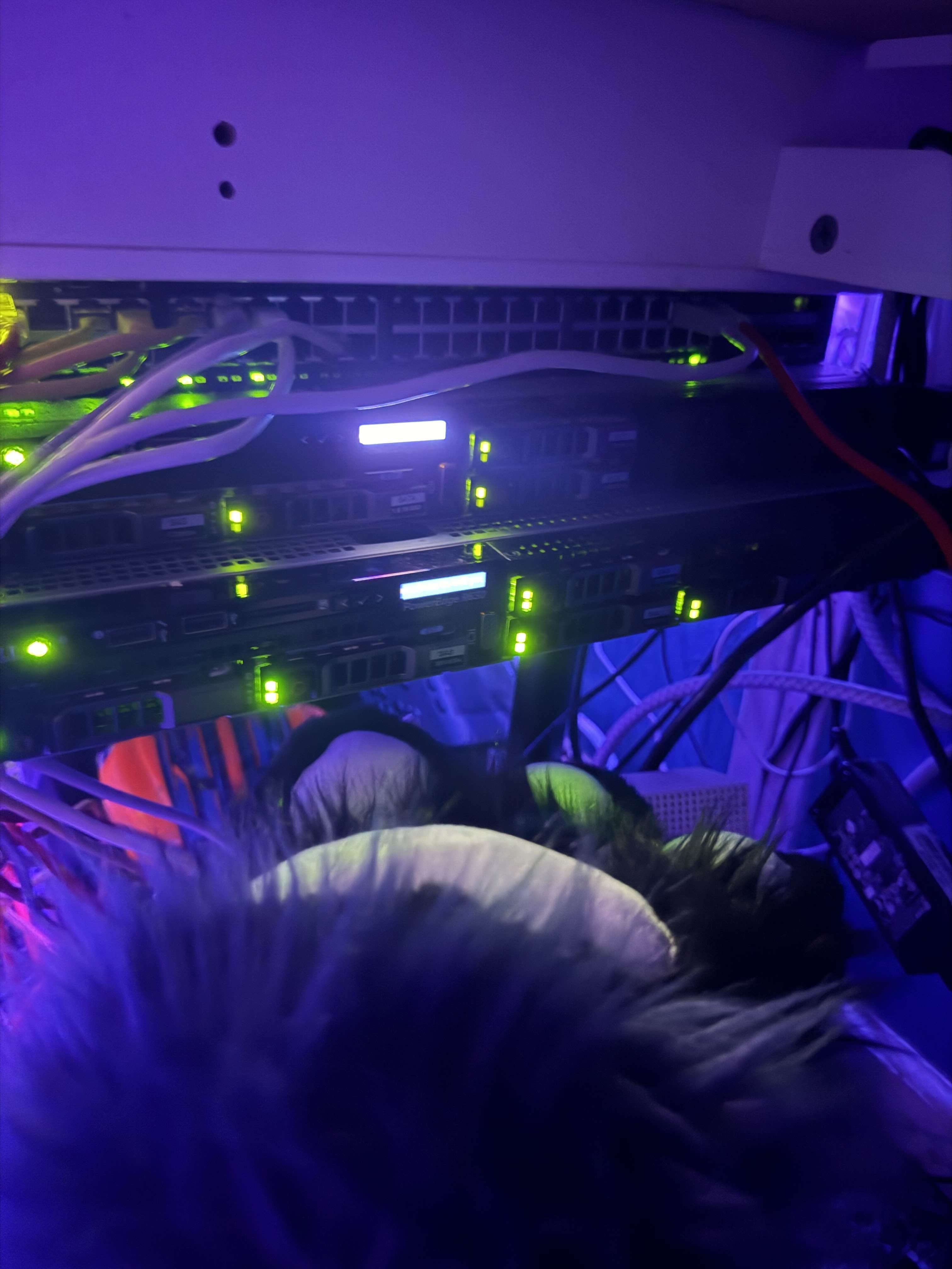 my servers